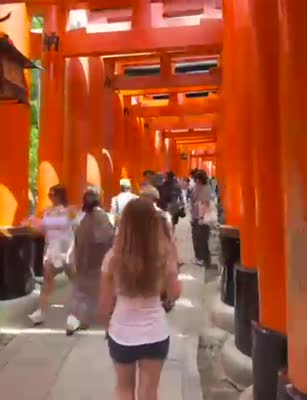 Day 5 video