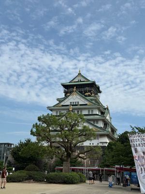 Day 9 photo