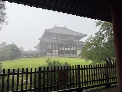Day 10 photo