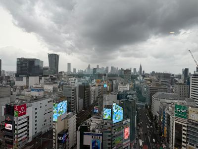 Day 11 photo