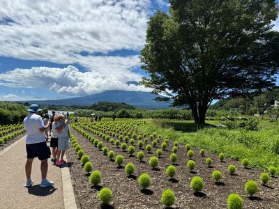 Day 12 photo